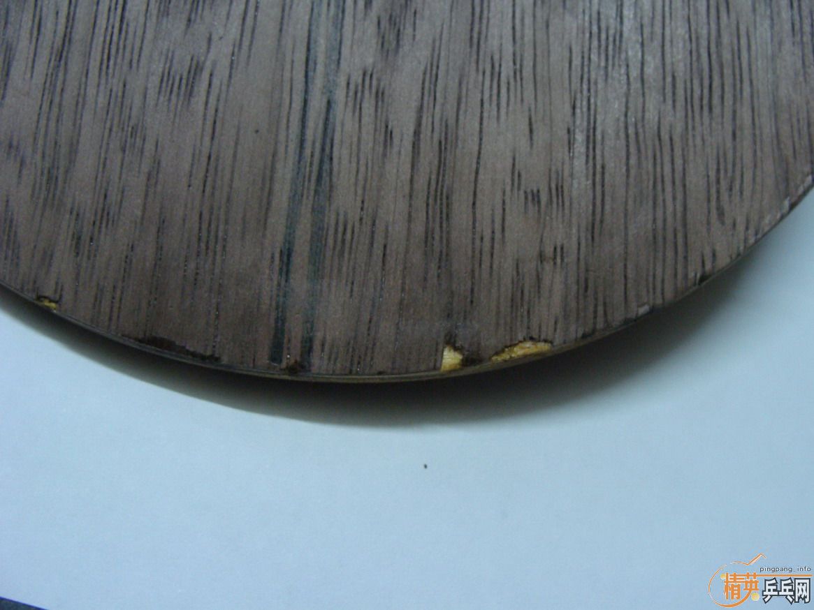 �ٳ���sitga�װ�.�ֵ����ٰ�æ��...