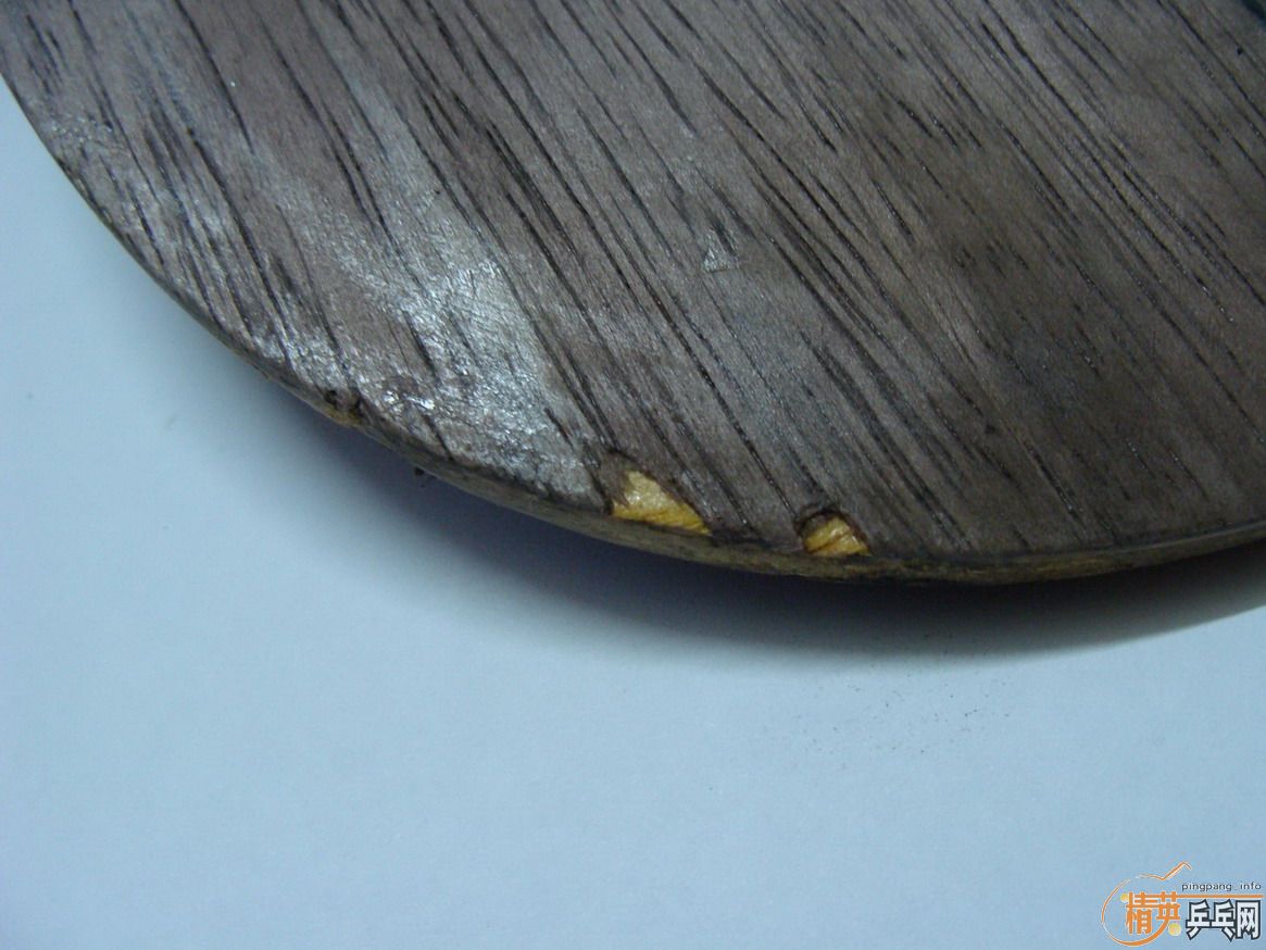 �ٳ���sitga�װ�.�ֵ����ٰ�æ��...