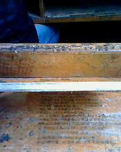 ����̼���˳��ˣ���