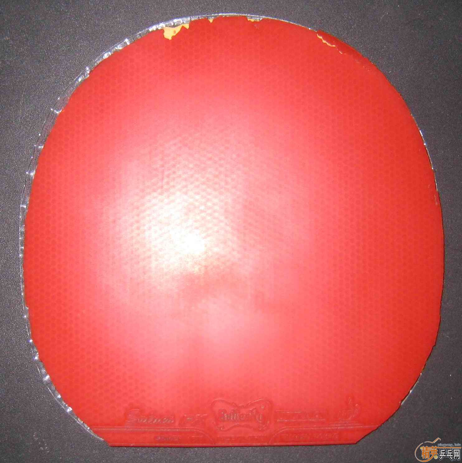 ���㶫����һ�����á�