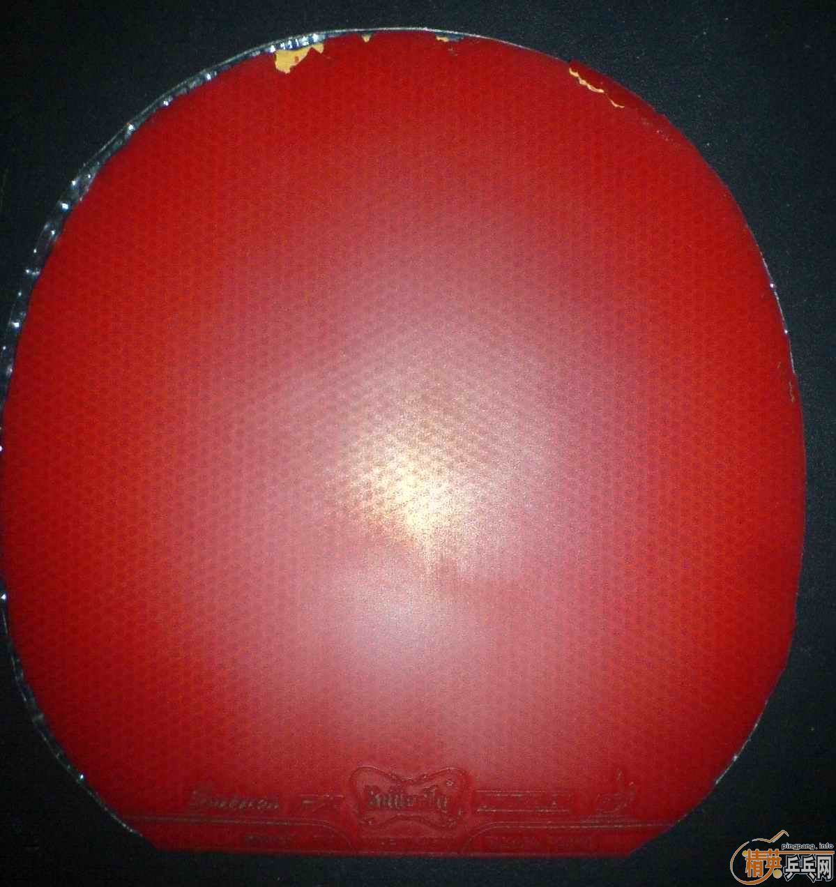 ���㶫����һ�����á�