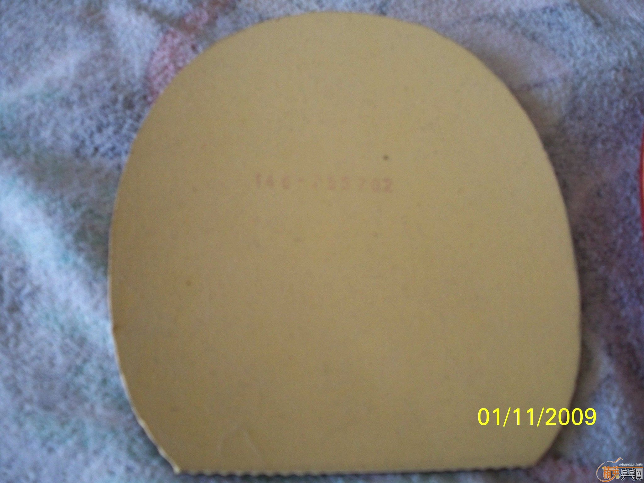 ��9.8��donic coppa JO���켫2