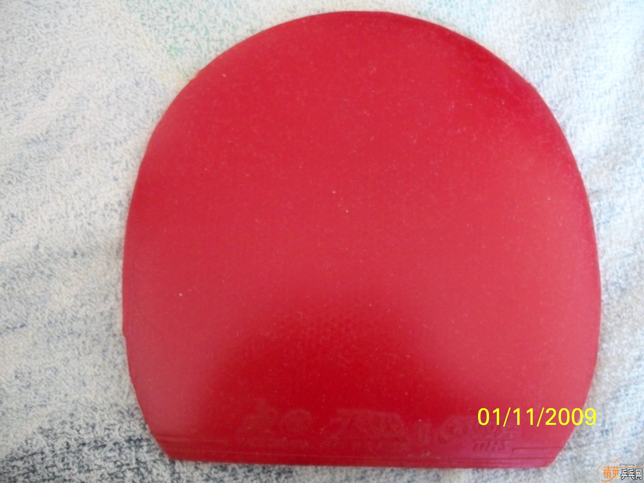 ��9.8��donic coppa JO���켫2