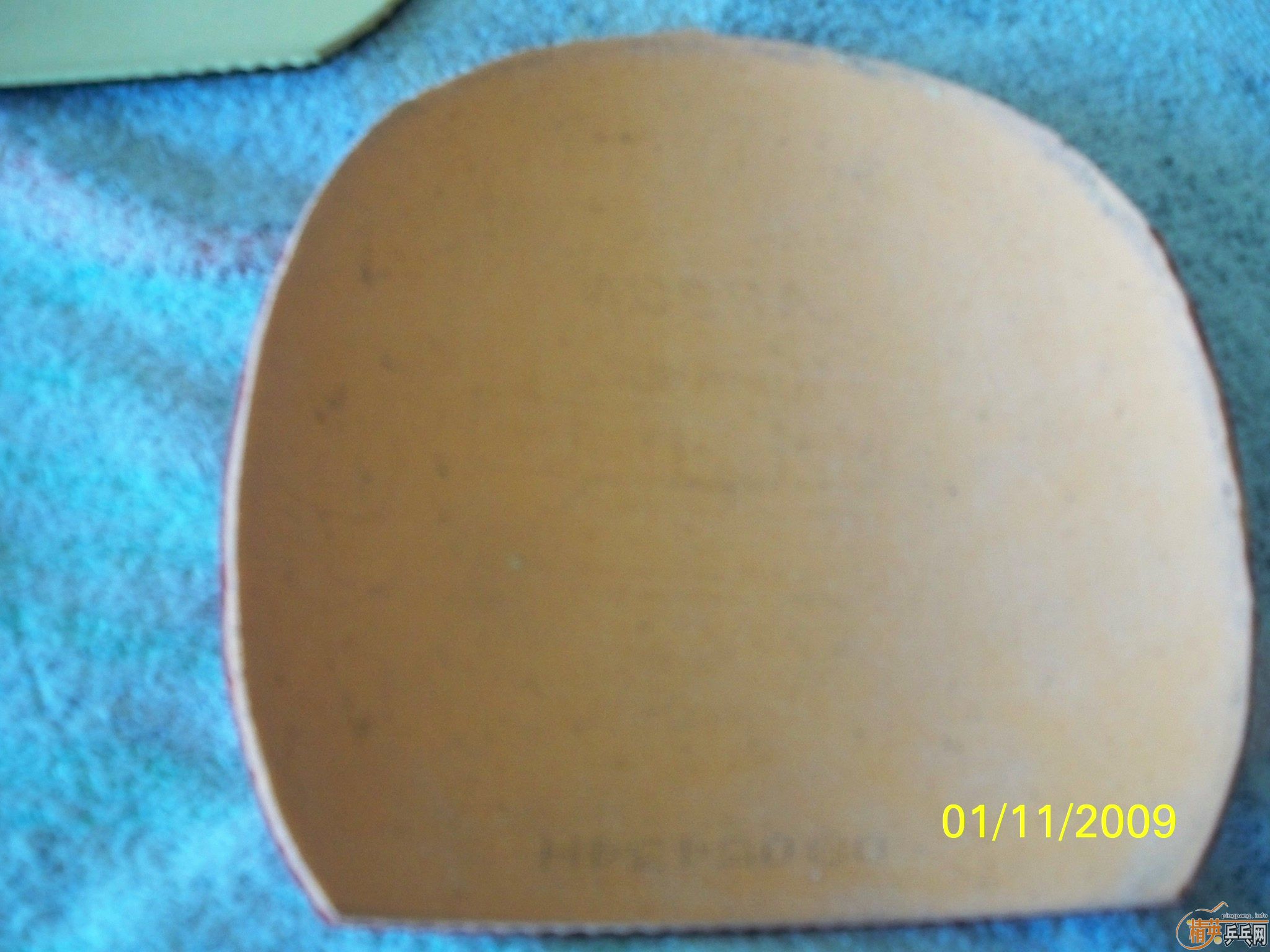 ��9.8��donic coppa JO���켫2