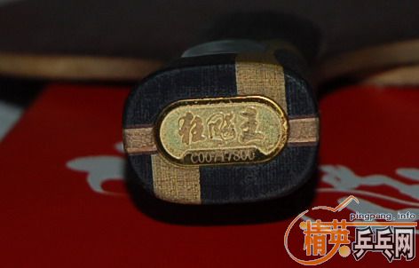 �����������û�,07����,JOOLA ��˹̼��,STING