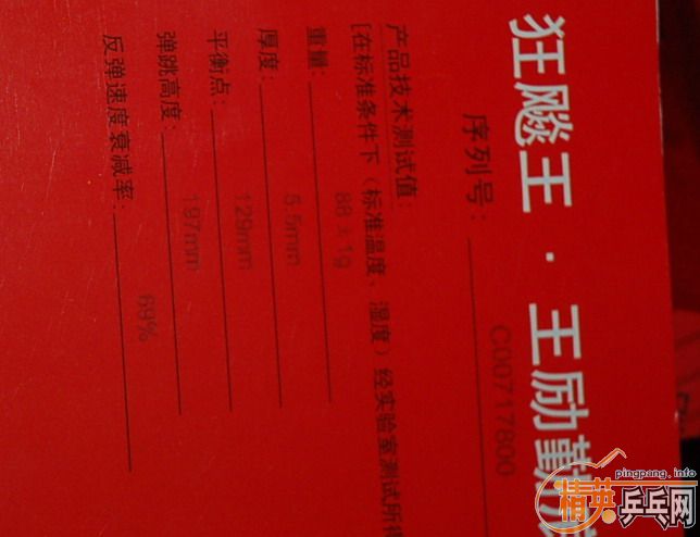 �����������û�,07����,JOOLA ��˹̼��,STING