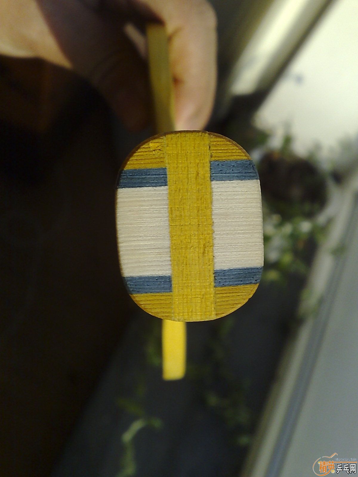 �����ѿ��9.5�¶����epox  topspeedֱ�壬�����Ϻ��ټ��ģ�400���ʣ�������������˽�Ƥ