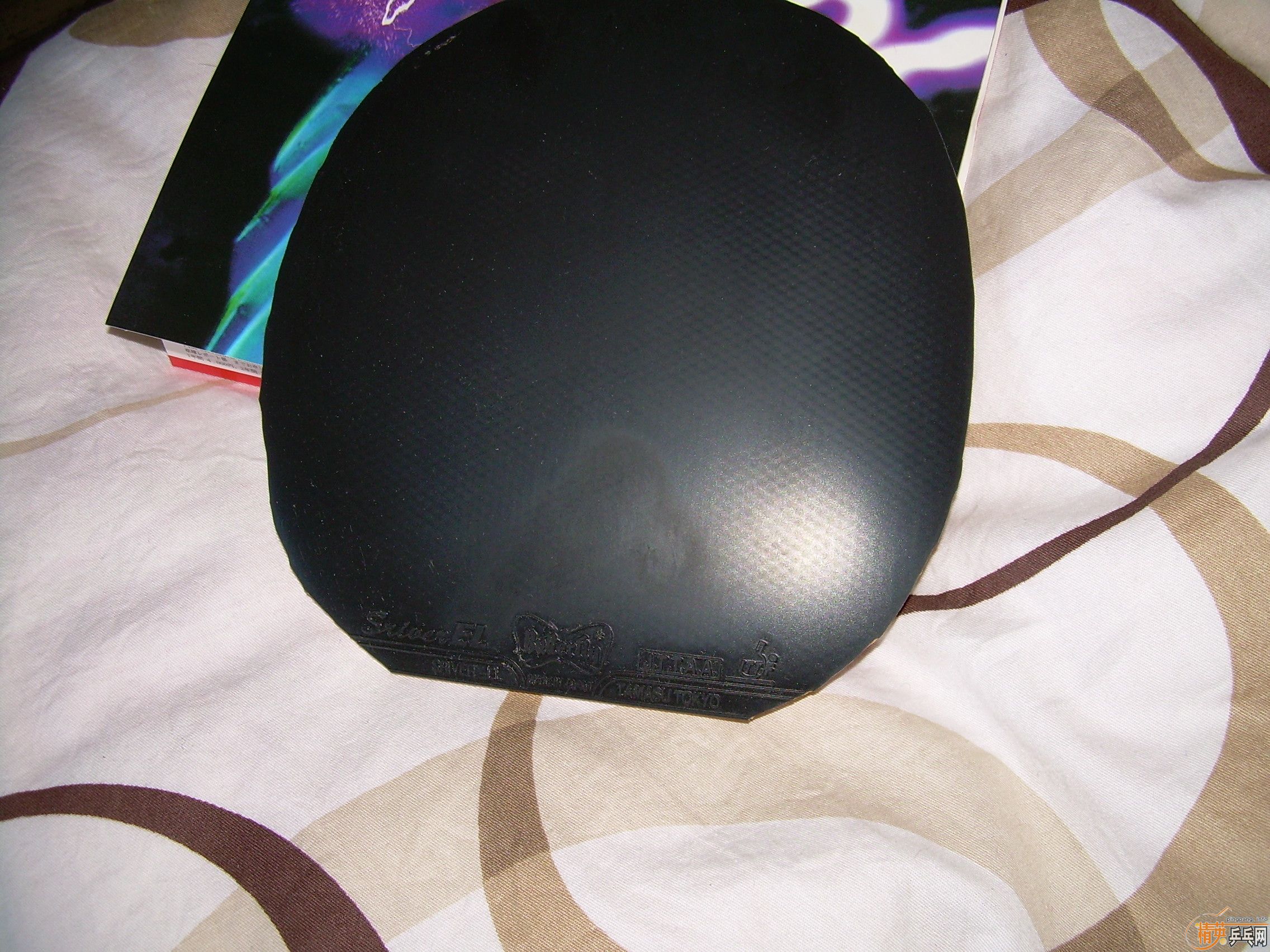 [ԭ��]����ɫSriver-EL�׽���