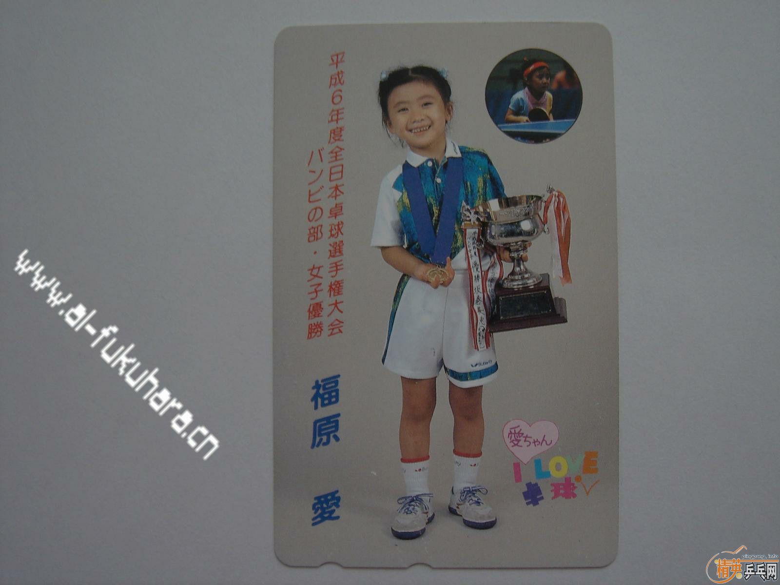 С��������԰��