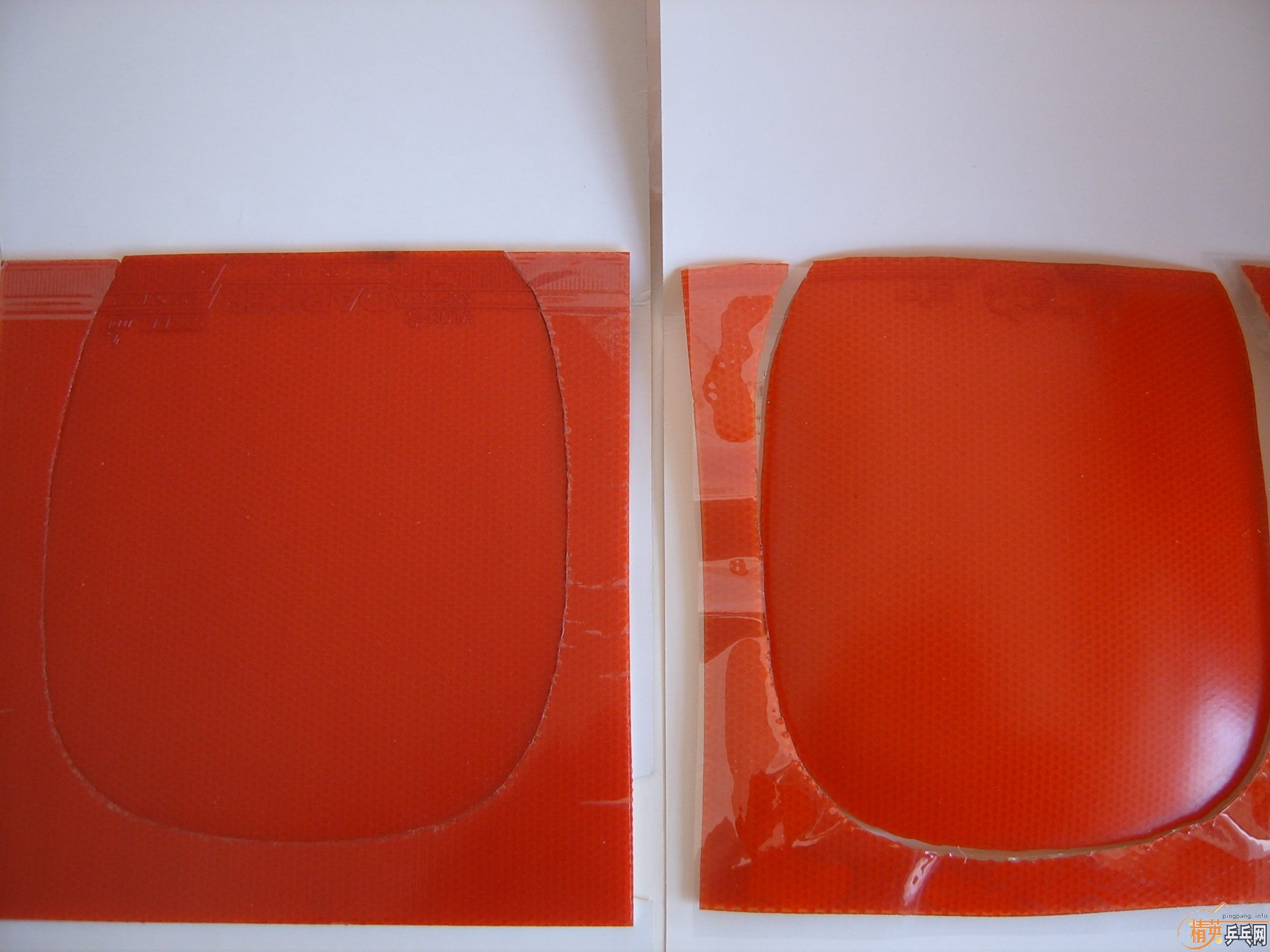 ������������+�׽�