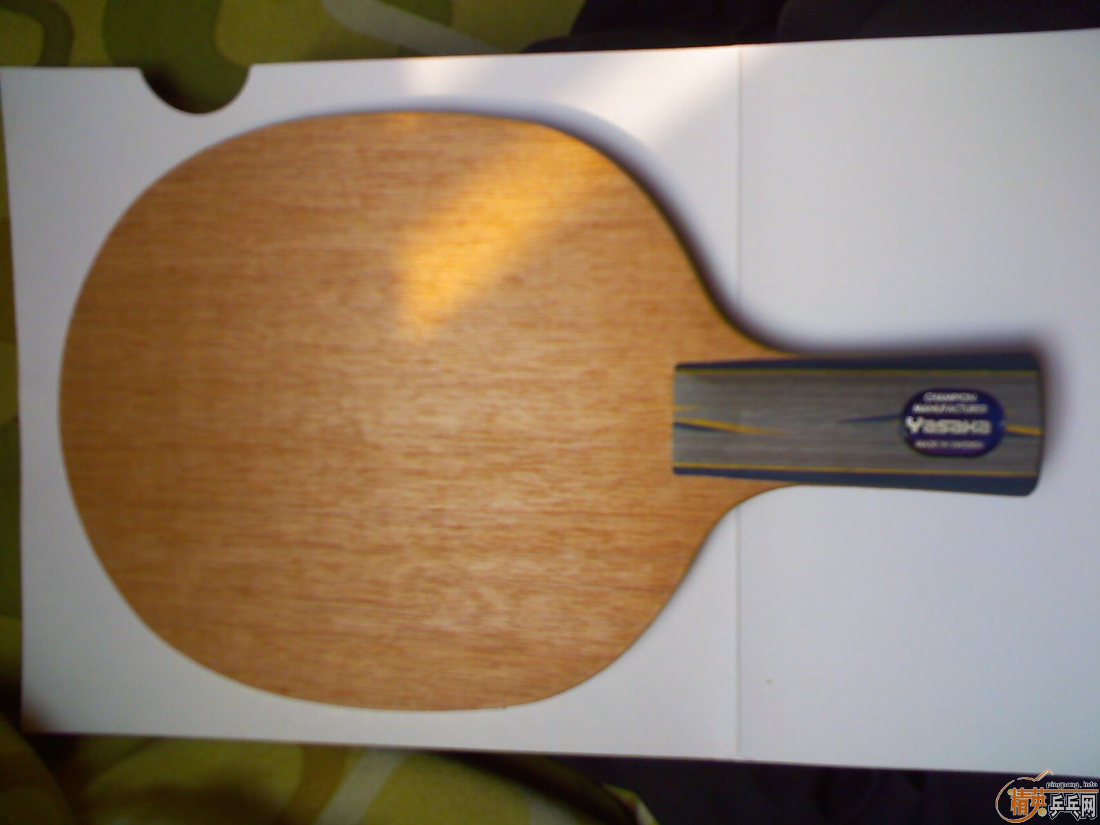 ������2�����µ�������̼YSC