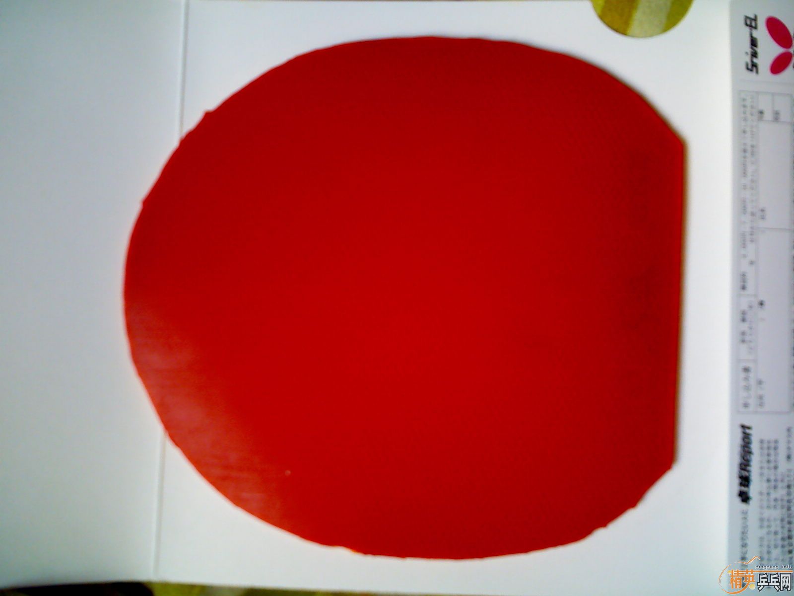 ������2�����µ�������̼YSC