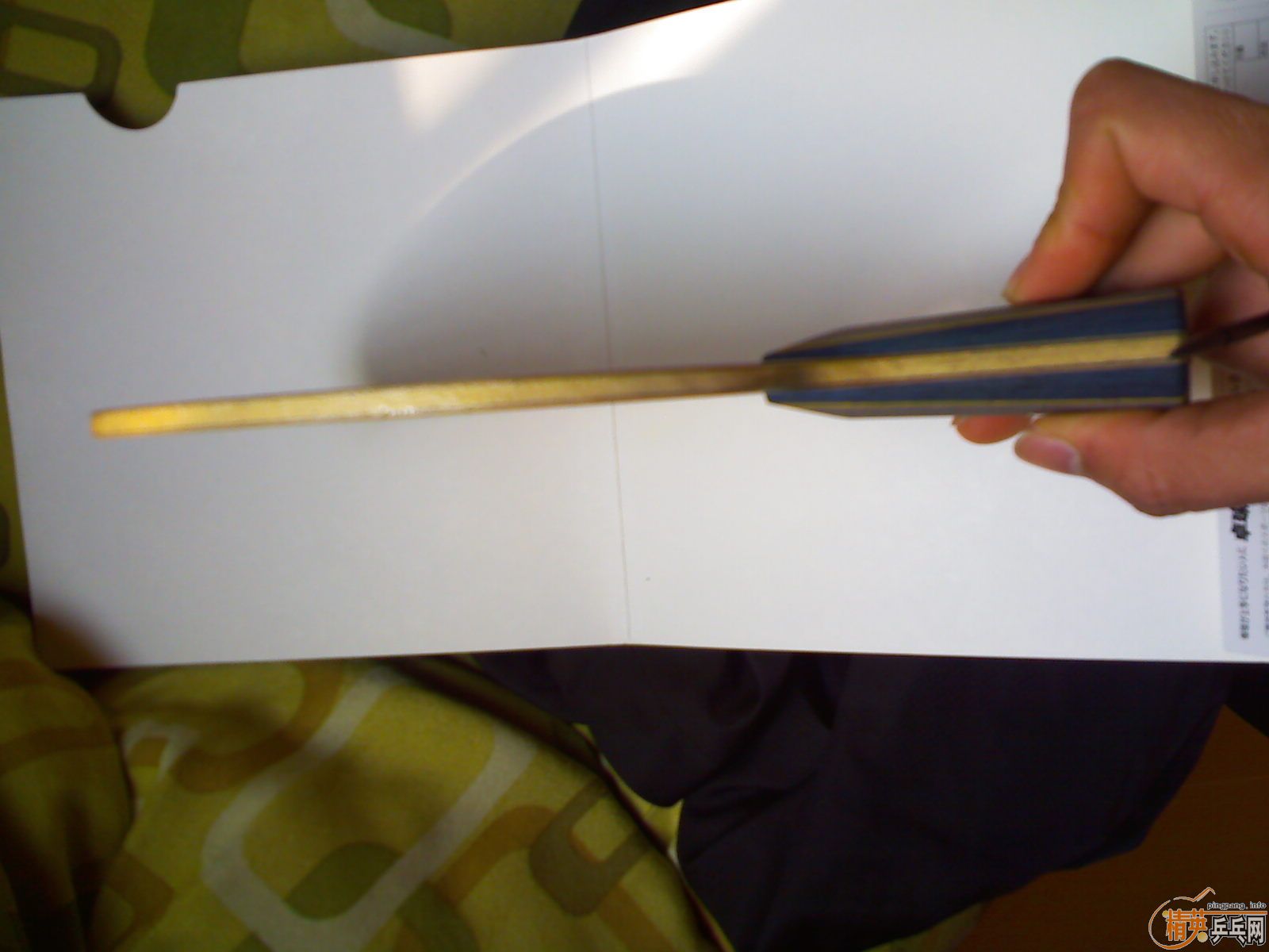 ������2�����µ�������̼YSC