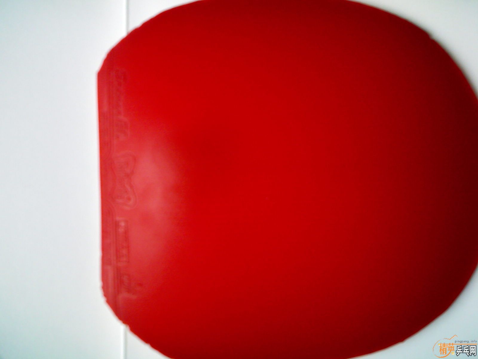 �����𩣬ǩ�����һЩ��Ƥ