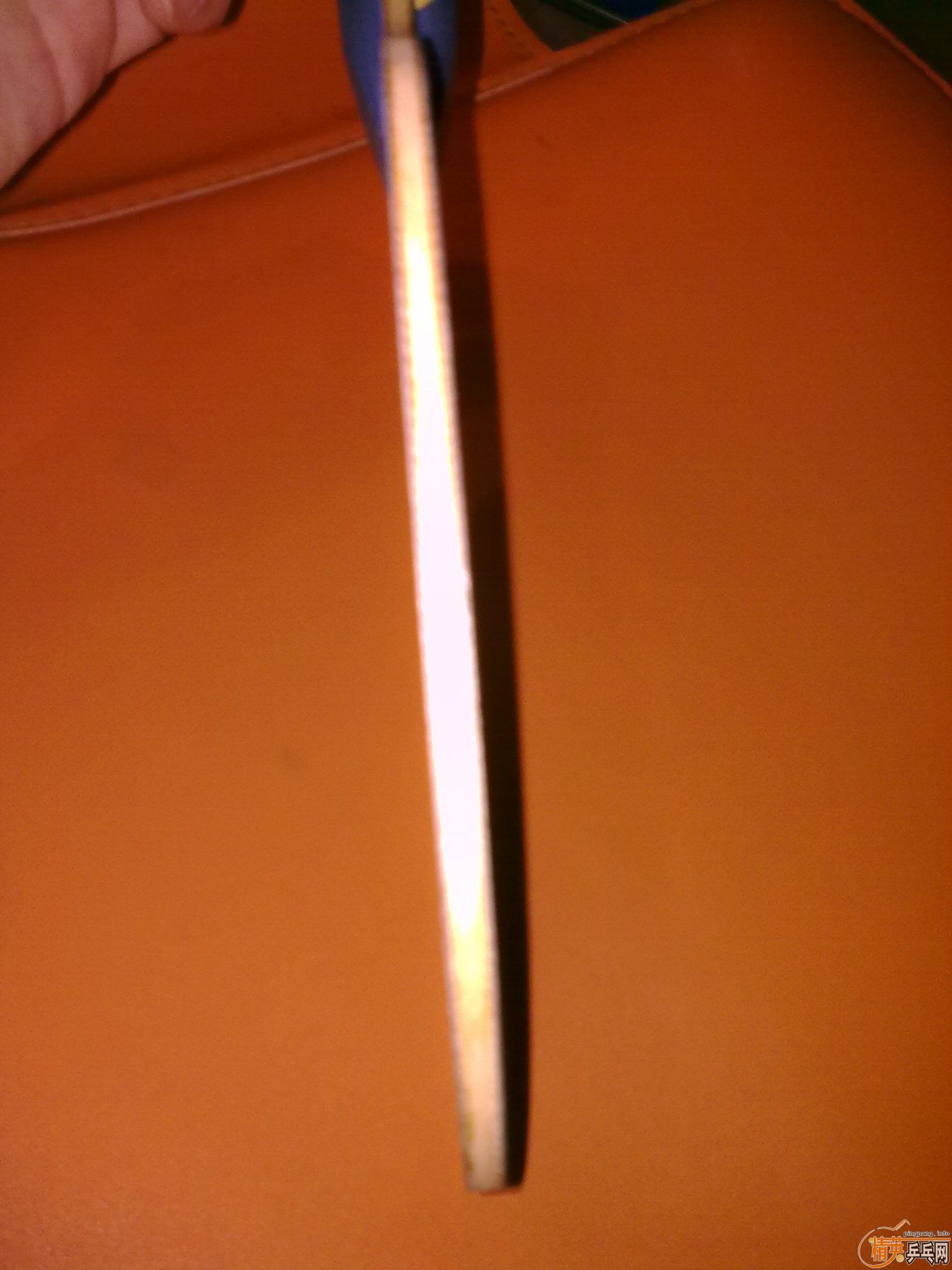 ����𩣬260���죬��ɫ������ͼ