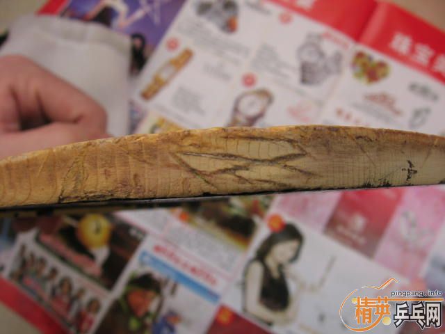 �����ѳ���������ͬʱ��¶һ��ƭ�ӣ����λ����ע��