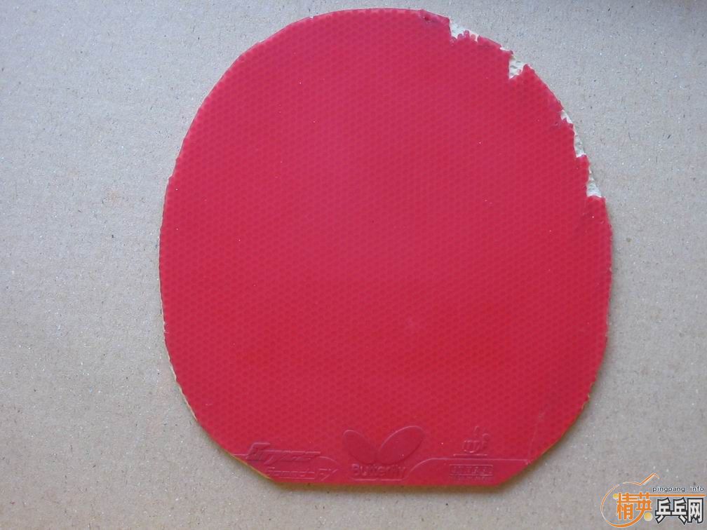 ����������׽�������ʡ��һ�����ף�