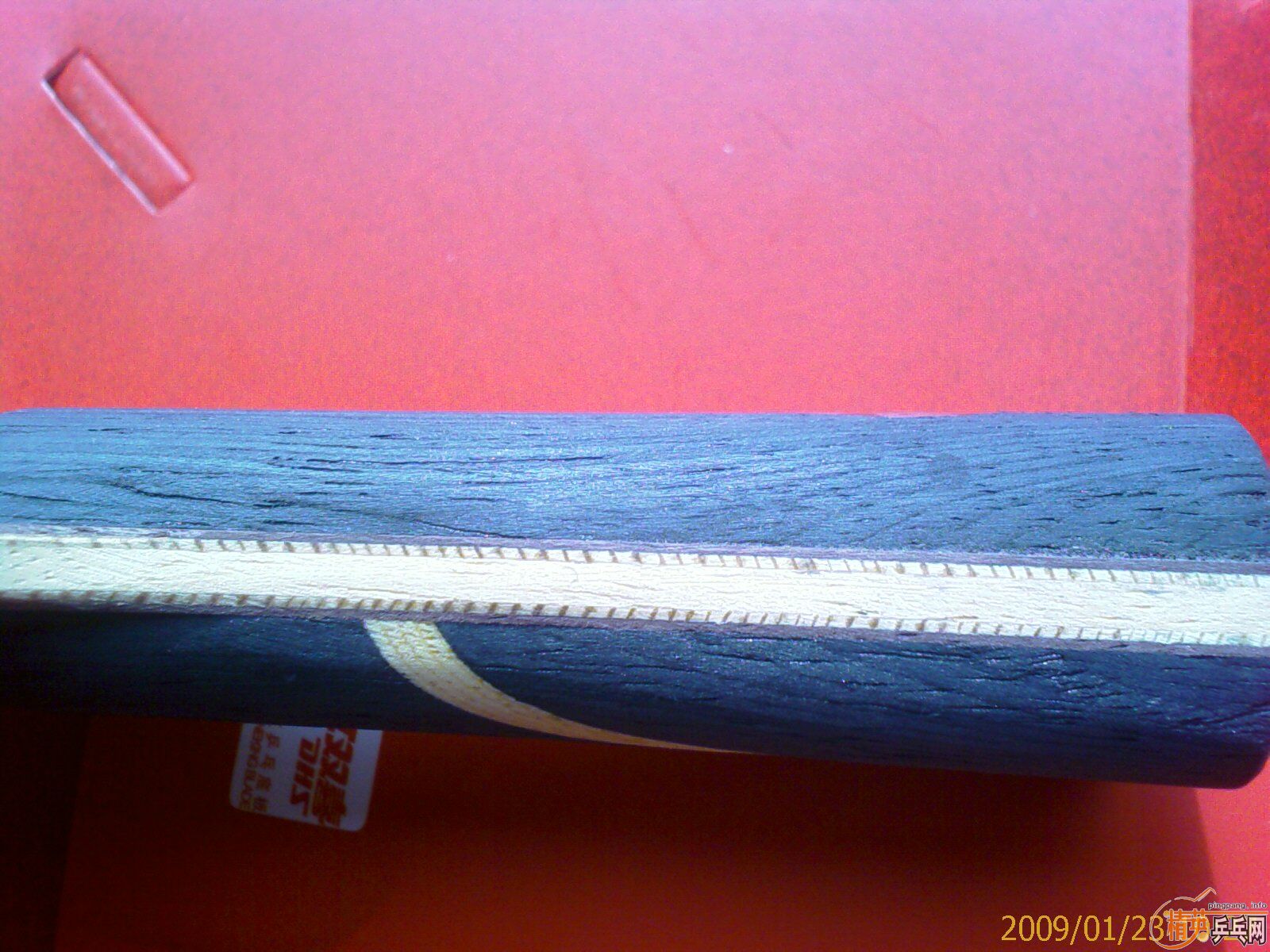 ���˿������֧����������Ǻ��ݵġ�����