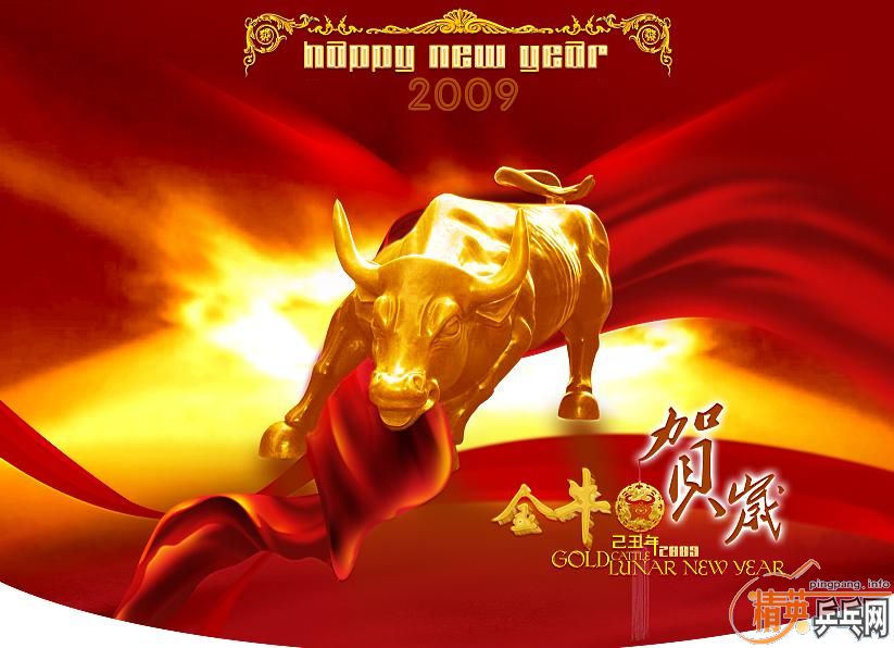 HAPPY ţ YEAR