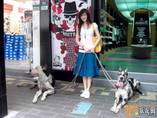 [ԭ��]������֣������� ���������ĸ��������и��£�