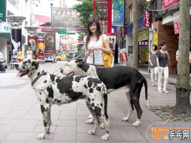 [ԭ��]������֣������� ���������ĸ��������и��£�