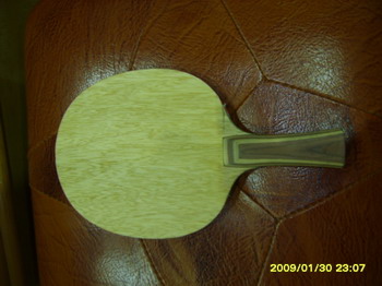 [ԭ��]9.8���µ������ƺ����Ʊ�������