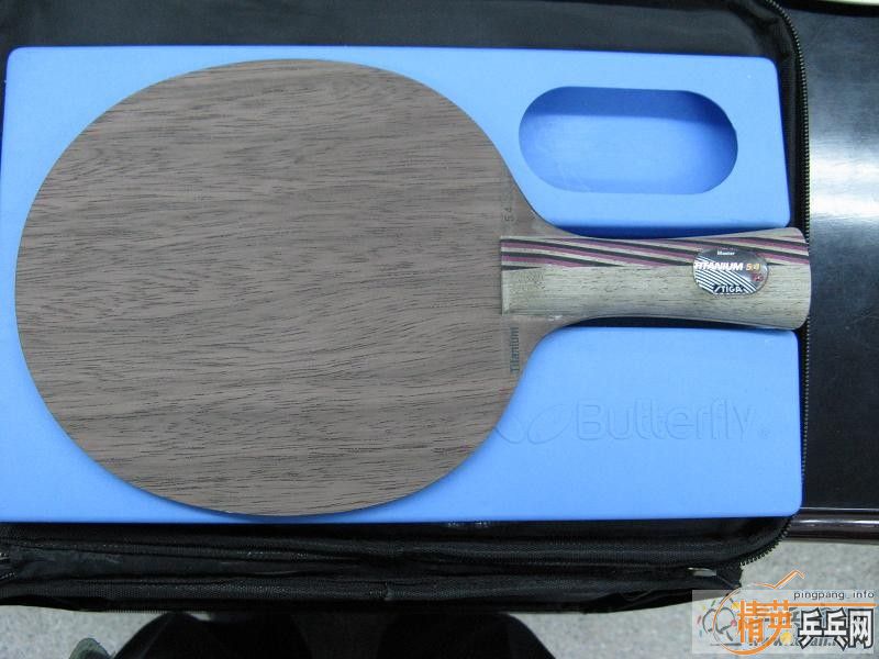 ��һֻFL9��TI 5.4     350����