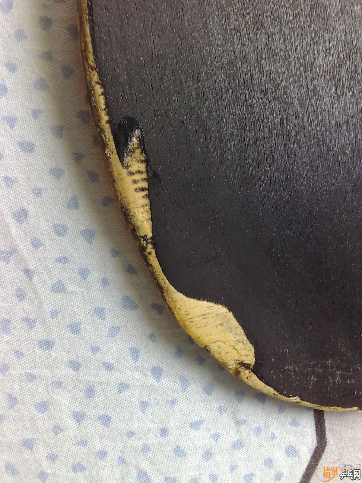 ���ۺ�ˮ������JO��װ�׽���֧��֧�����ͲƸ�ͨ