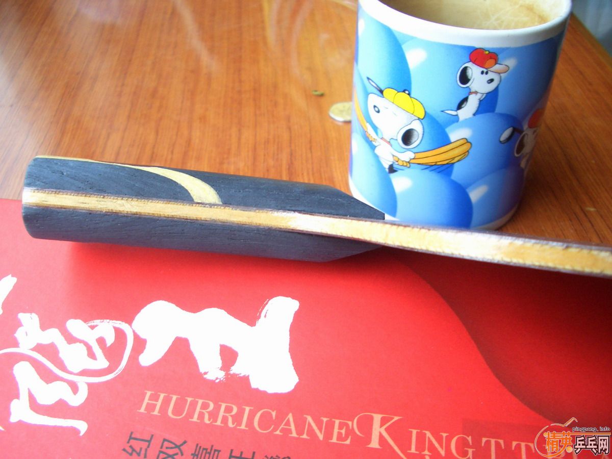 �����˿���