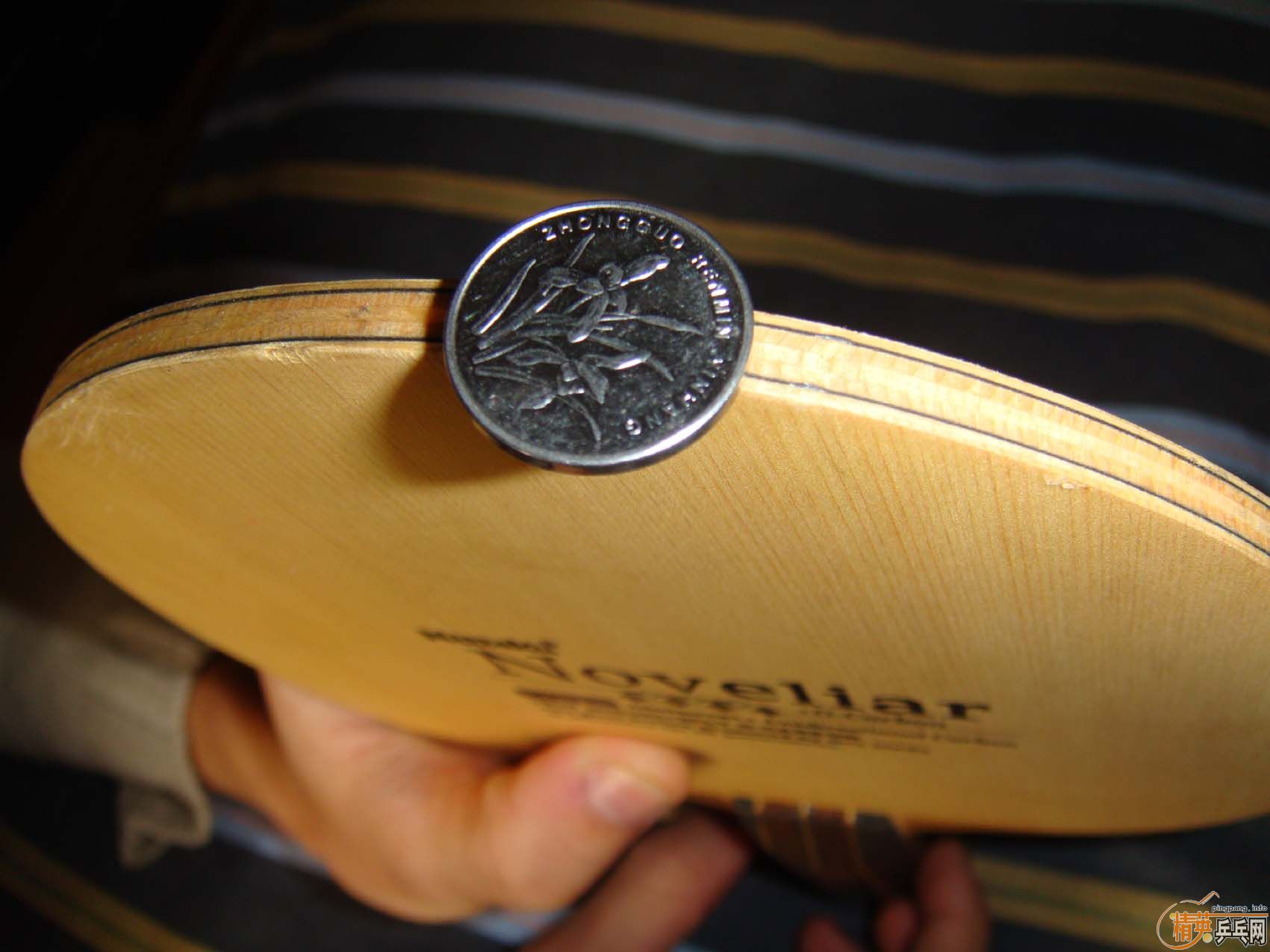 ��������Noveliar