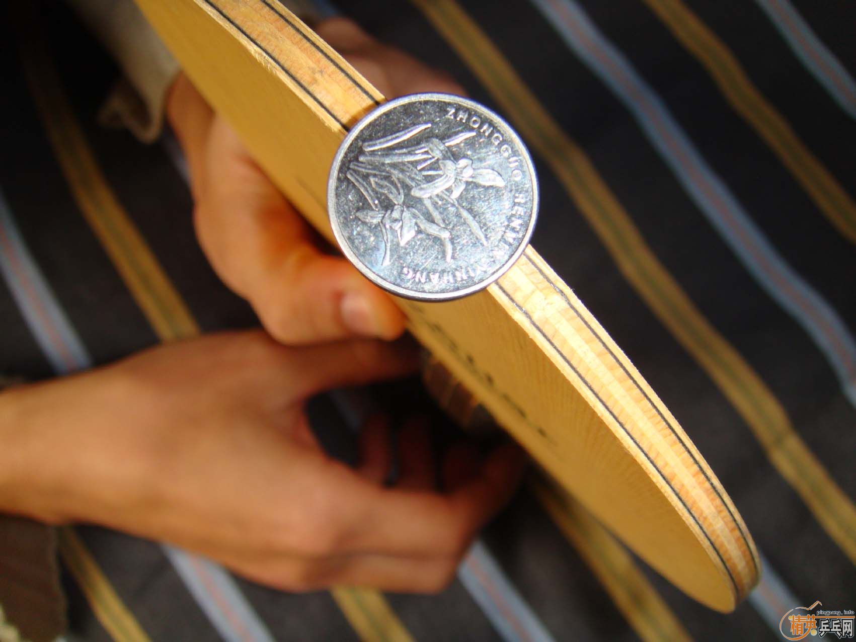 ��������Noveliar