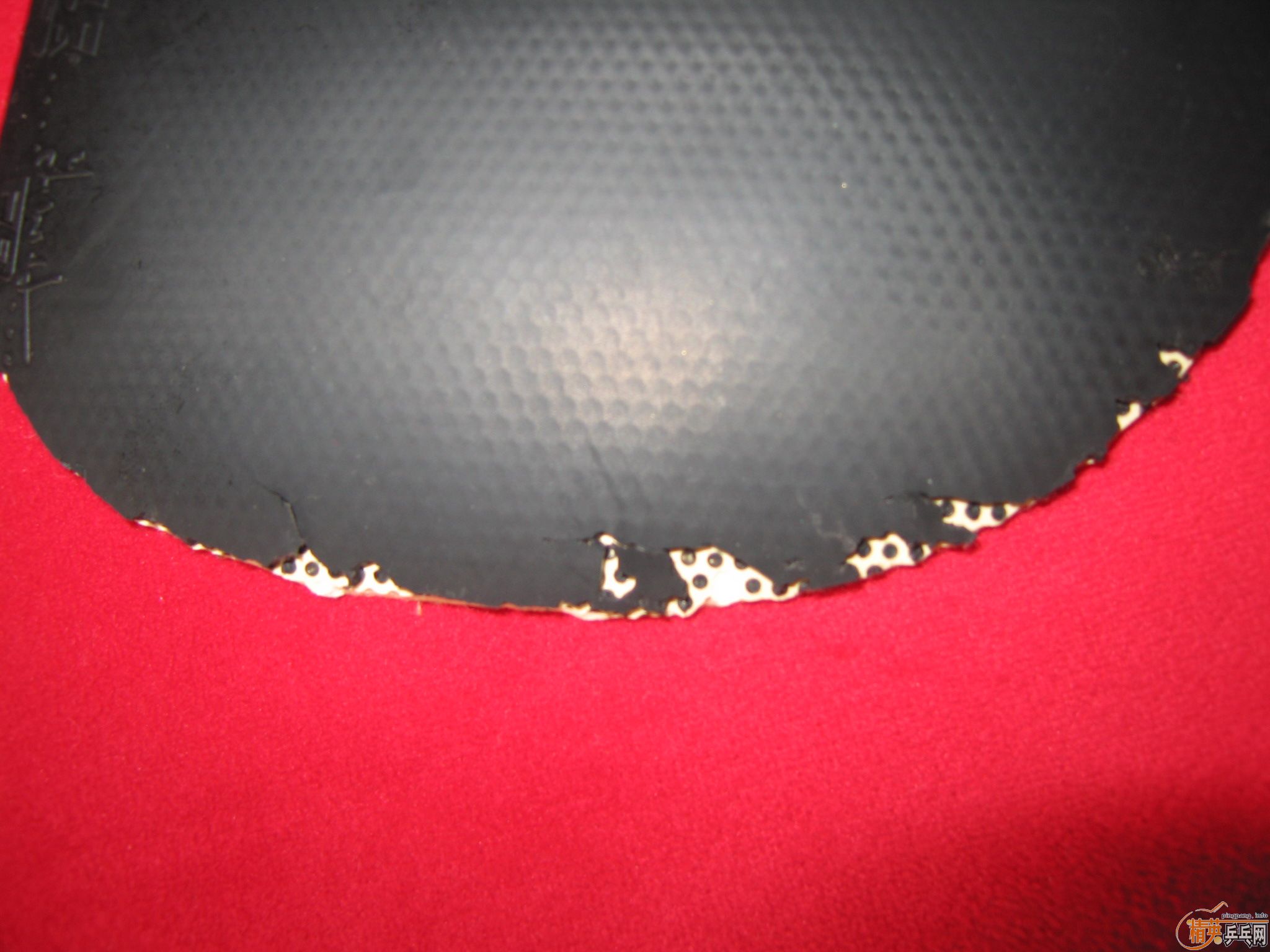 ������տ�ʡ�񡢽�jo����