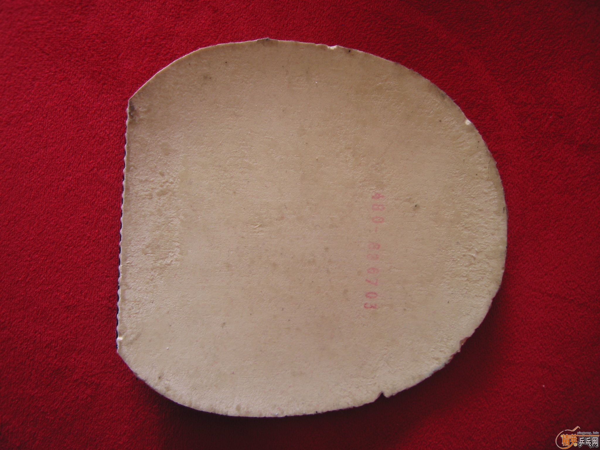 ������տ�ʡ�񡢽�jo����