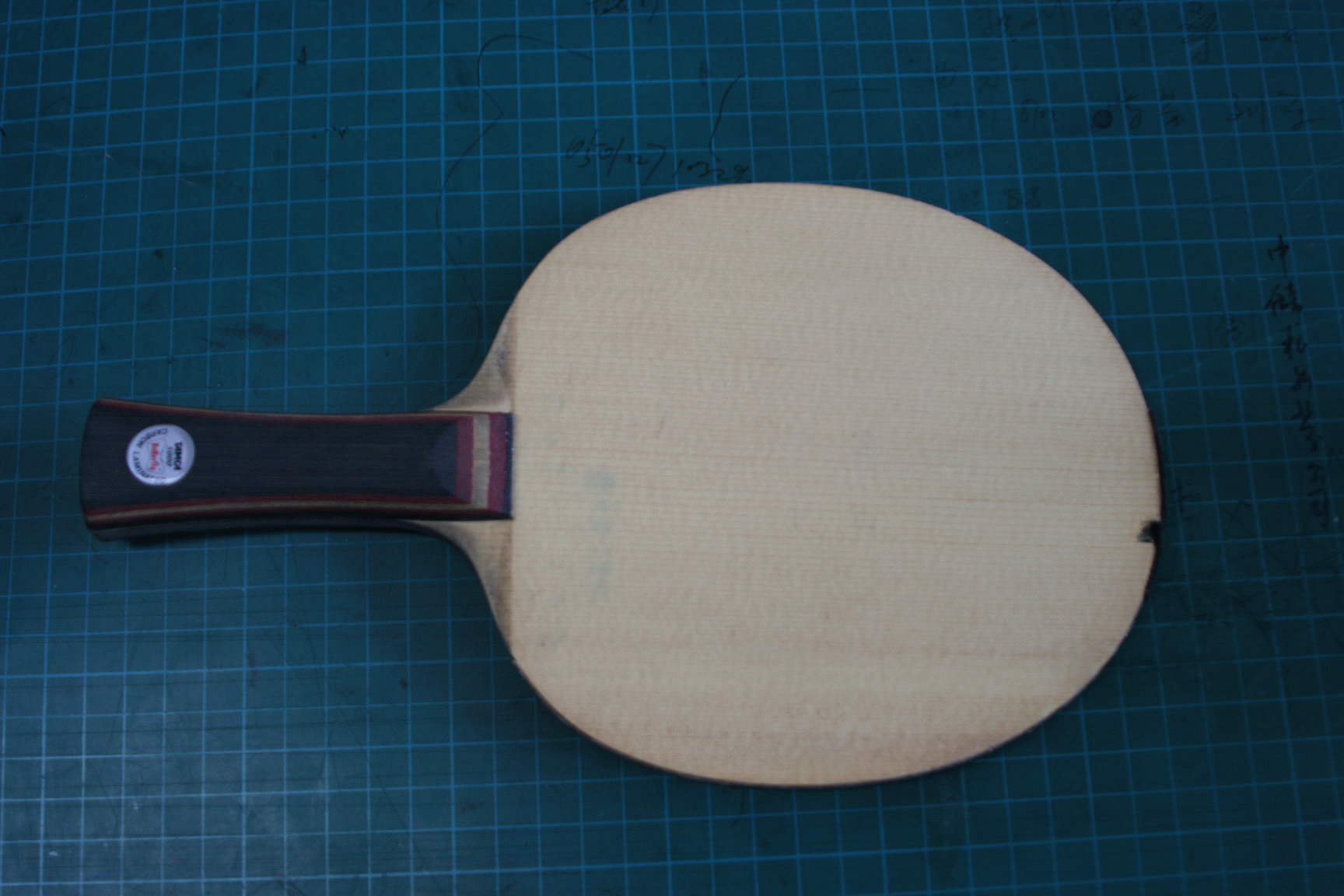 �����õĺ���ʩ̼