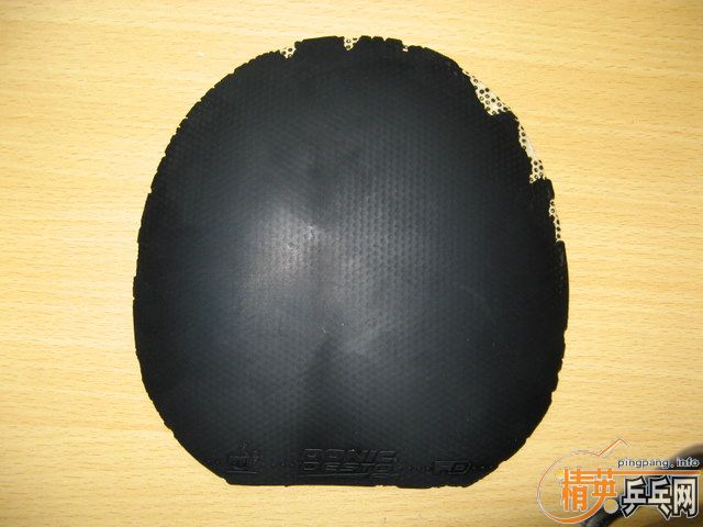 f1��joola��tsp���������켫���տ�