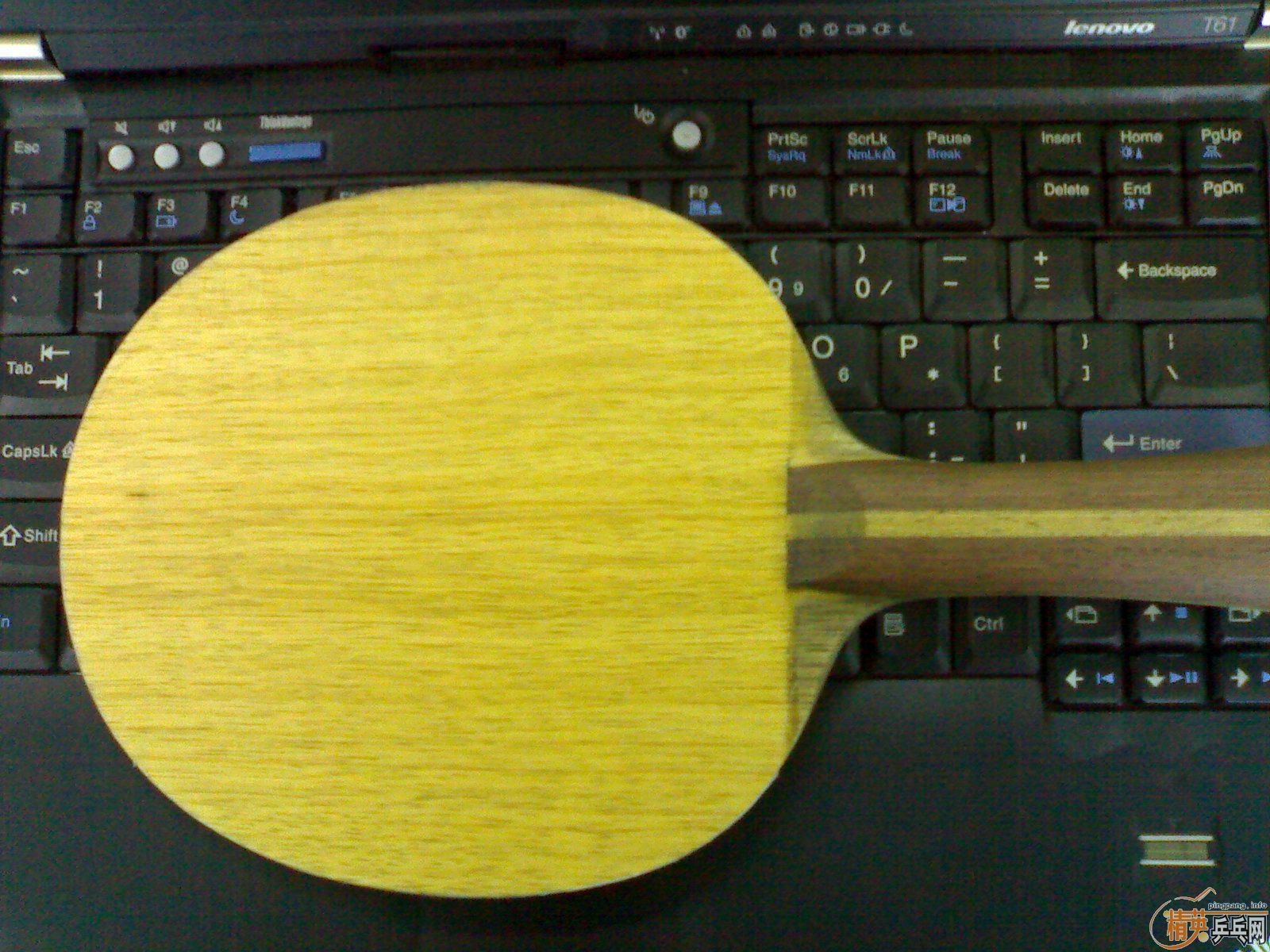 ����,ϣ���ú����������Ī���ģ���/FL/9���£�����STIGA���CL