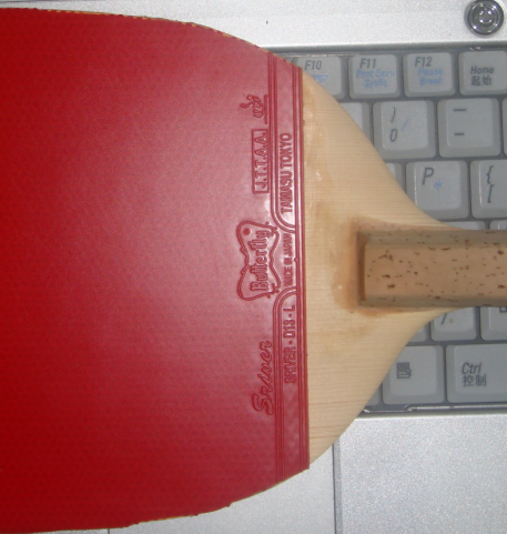 ��98�¡�����SRIVER-L2.1mm����ֱ�����׽�