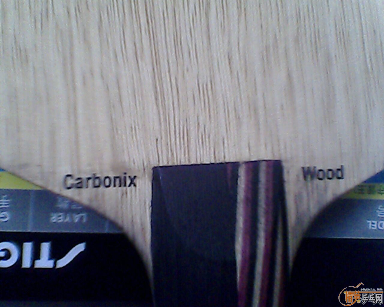 320����  ����˹̼����FL