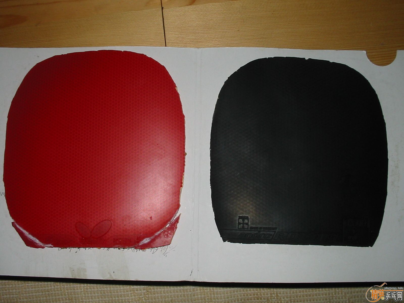 ����ֱ�׽�ROXON500+���