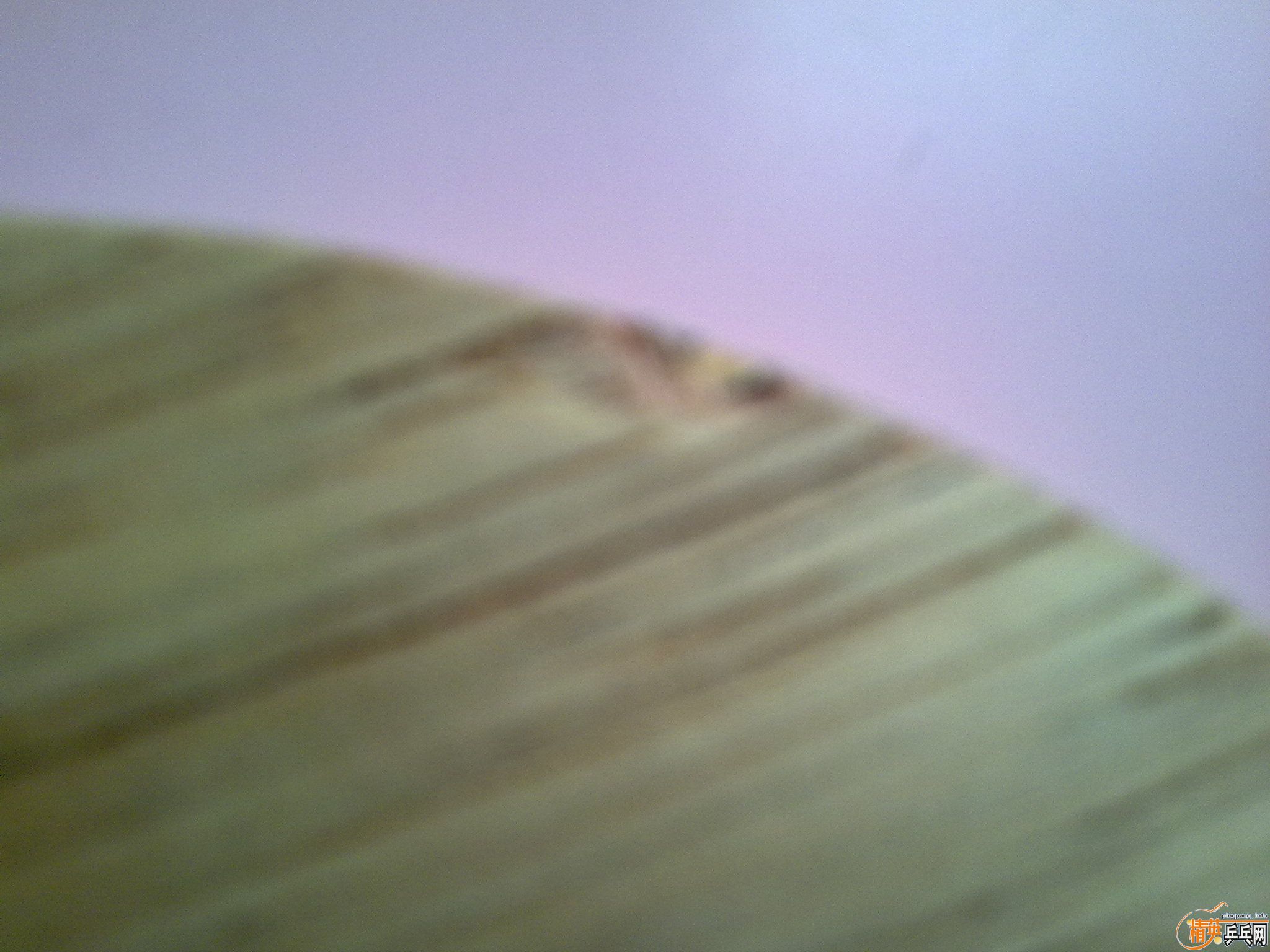 ����  245����ͨ