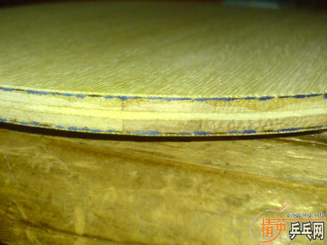 ���µ��������������̼��