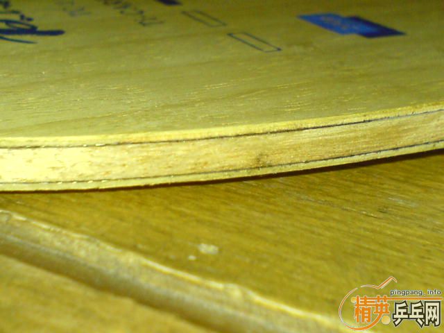 ���µ��������������̼��