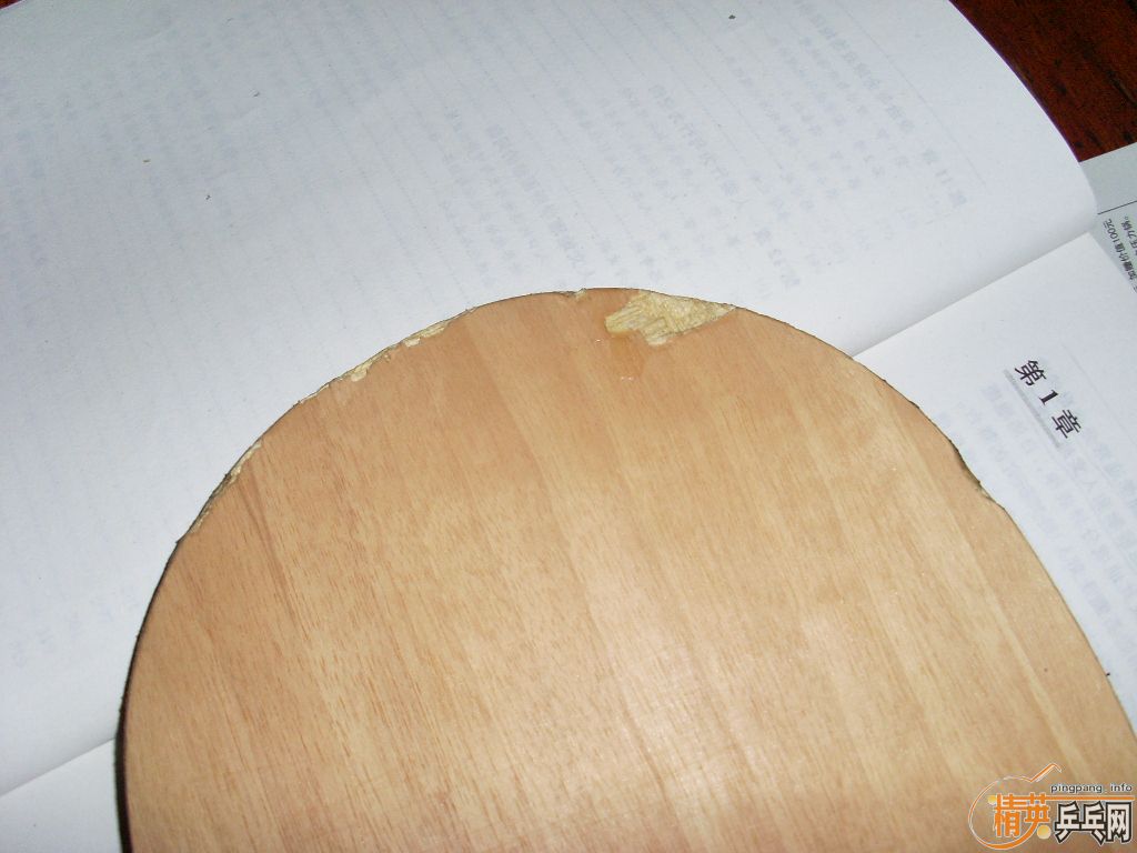 ��ͤYE���˳���