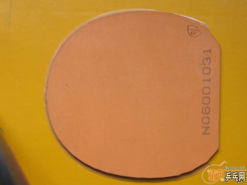 ���������T05��һ