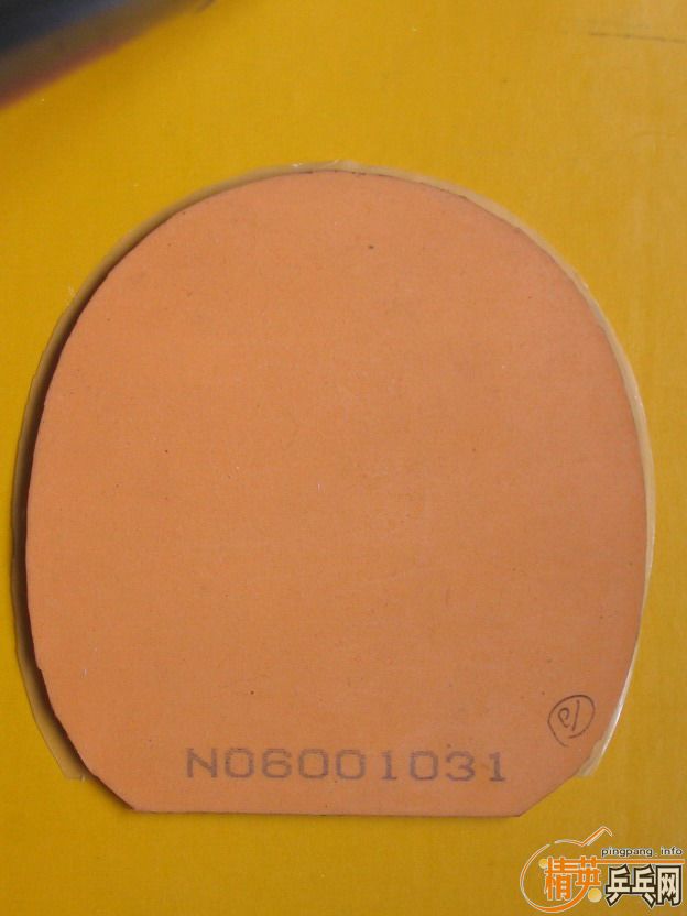 ���������T05��һ