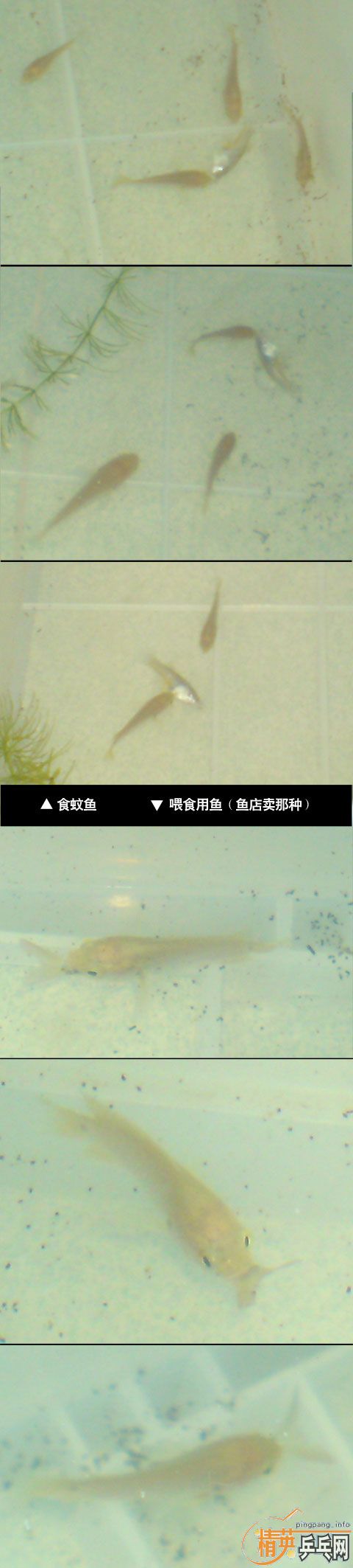 400̼~~~~~~~~~~~~~~~~~~~~~~~