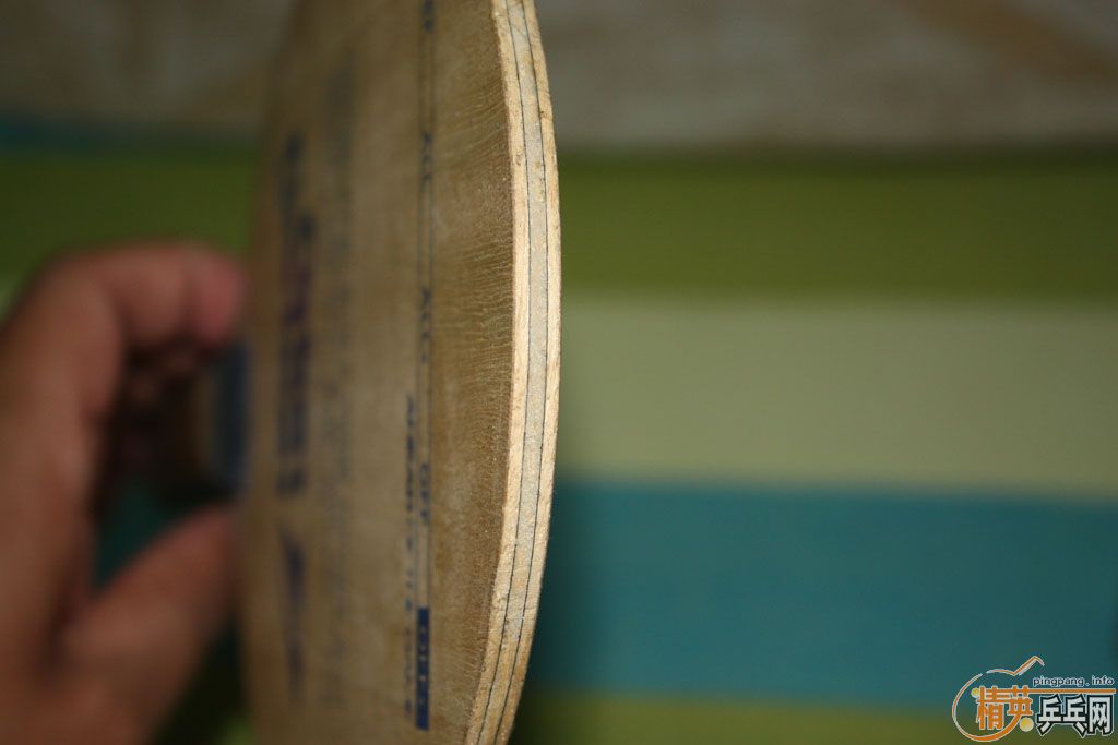 ��������  300����һֻ �ȵ��ȵ�   ���  CL    ����AC