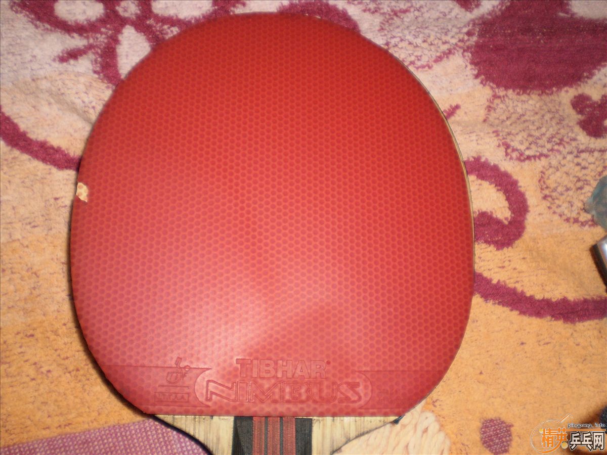 130���ʳ���ɫ�����nimbus vip