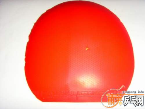 �������һŵ,ͦ��Rapid D.TECS.����ͼ�ͳߴ�