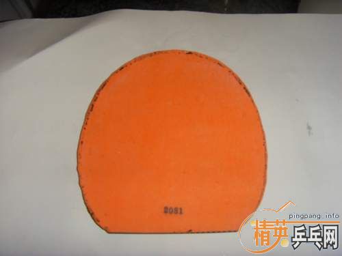 �������һŵ,ͦ��Rapid D.TECS.����ͼ�ͳߴ�